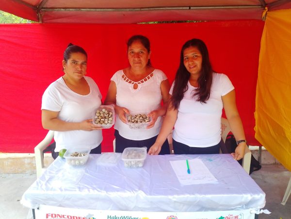 La Granja de Codorniz: Huevos frescos y saludables desde San Pedro – Salitral – Piura - Imagen 4