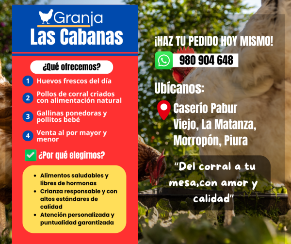 Gallinas doble propósito "Las Cabanas" - Imagen 2