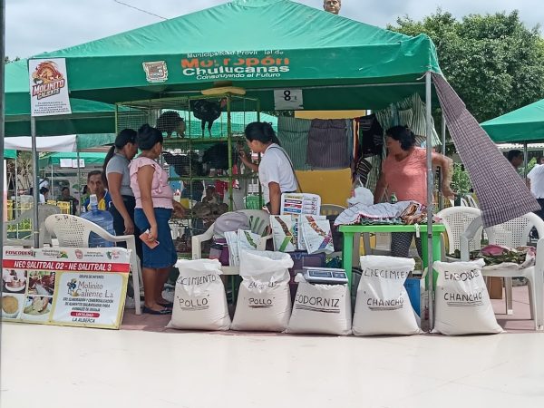 Molinito Caliente: Nutrición animal desde la Alberca, Salitral, Piura - Imagen 3