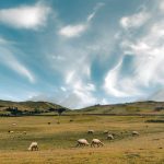Descubre la Meseta Andina de Piura…