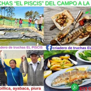 Truchas "EL PICSIS" en Sapillica-Ayabaca-Piura