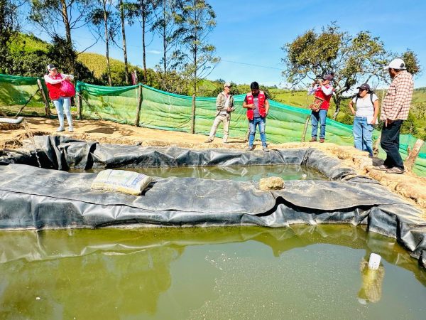Truchas "EL PICSIS" en Sapillica-Ayabaca-Piura - Imagen 5