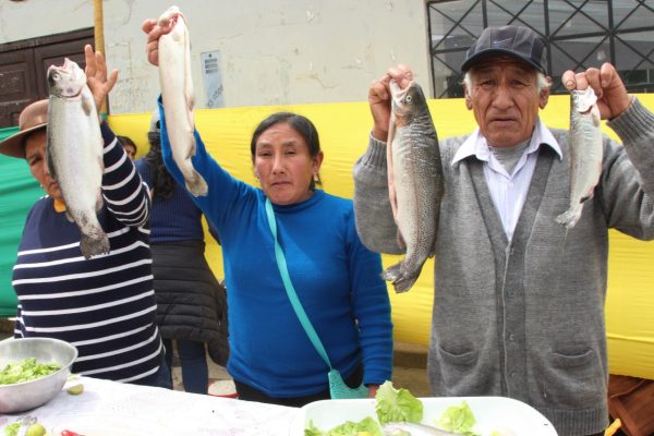 Truchas "EL PICSIS" en Sapillica-Ayabaca-Piura - Imagen 4